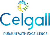 ceigall-Logo